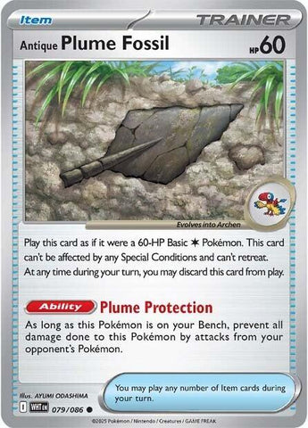 Antique Plume Fossil - 079/086
