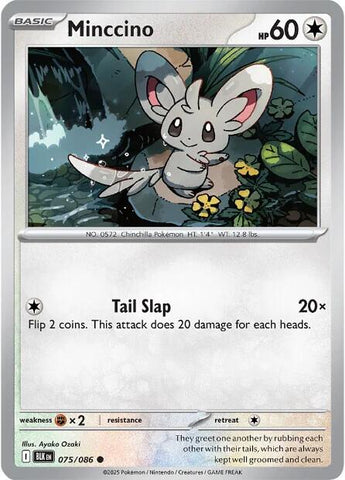 Minccino - 075/086 - (SV: Black Bolt)