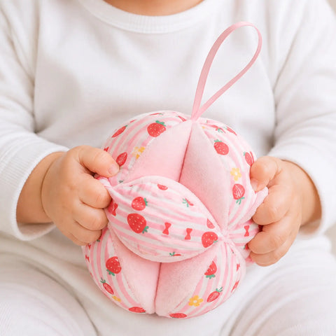 Baby Montessori Puzzle Ball
