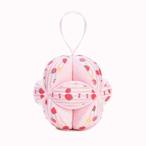 Baby Montessori Puzzle Ball