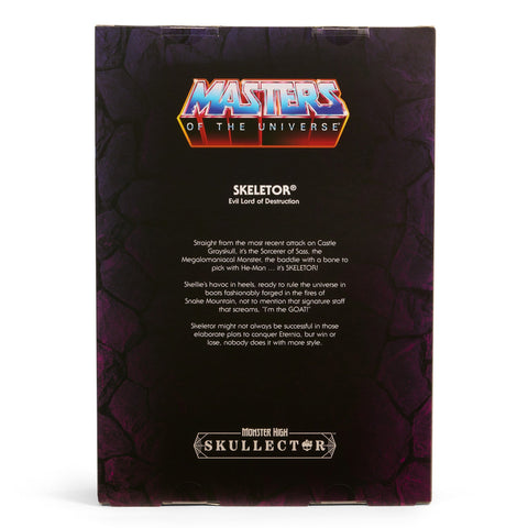 Monster High Skullector Skeletor Doll